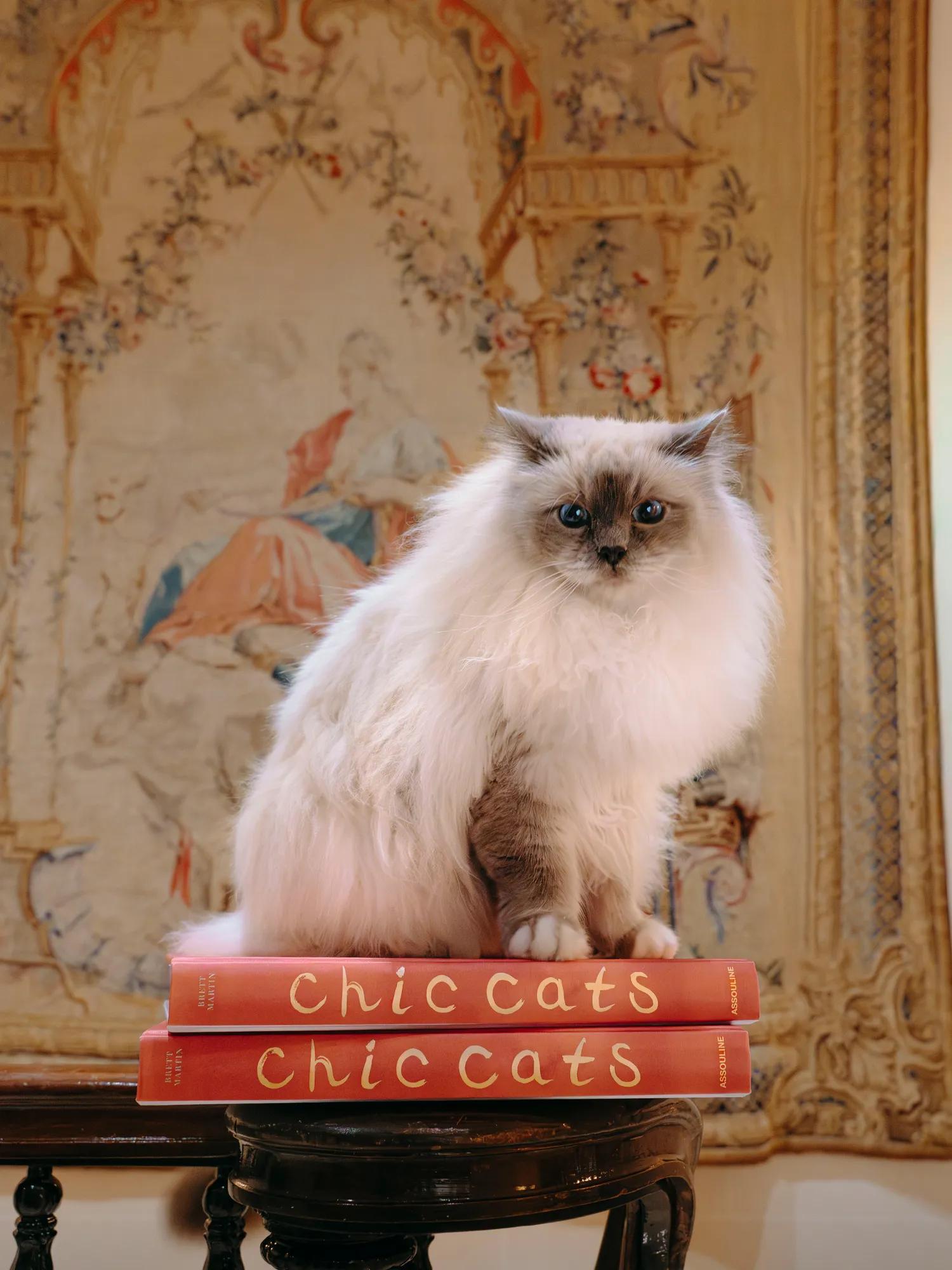 ASSOULINE_STEFFL_assouline-bristol-6