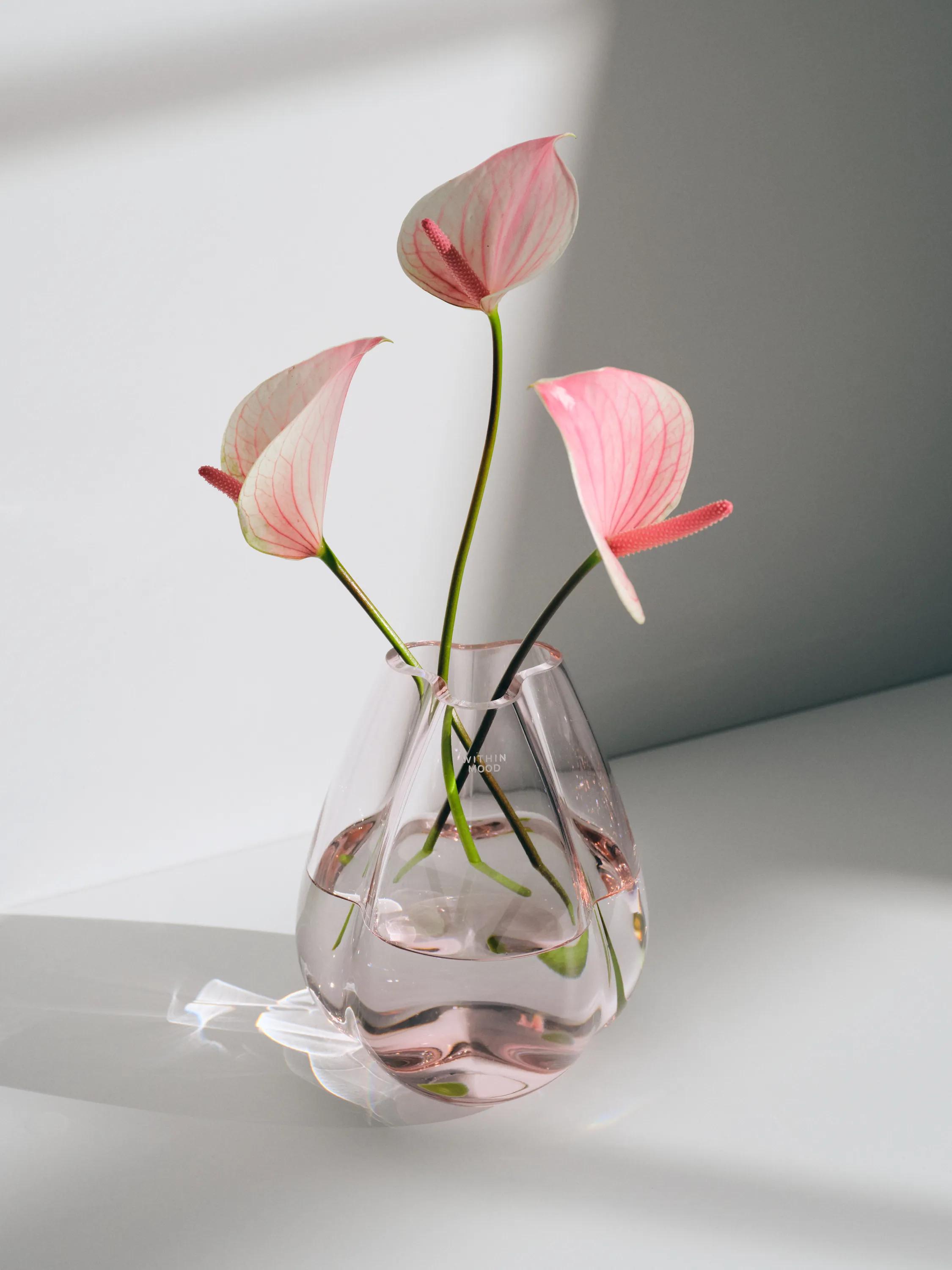 WITHIN MOOD_STEFFL_withinmood_tulip_mini_pink_moody_3_4_2